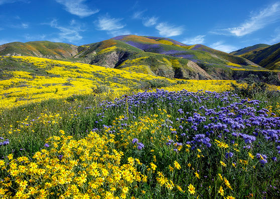 Carrizo Plains National Monument at Atascadero