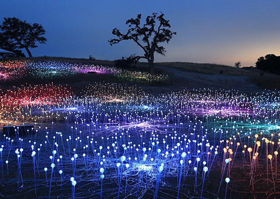 Sensorio Field of Light at Atascadero