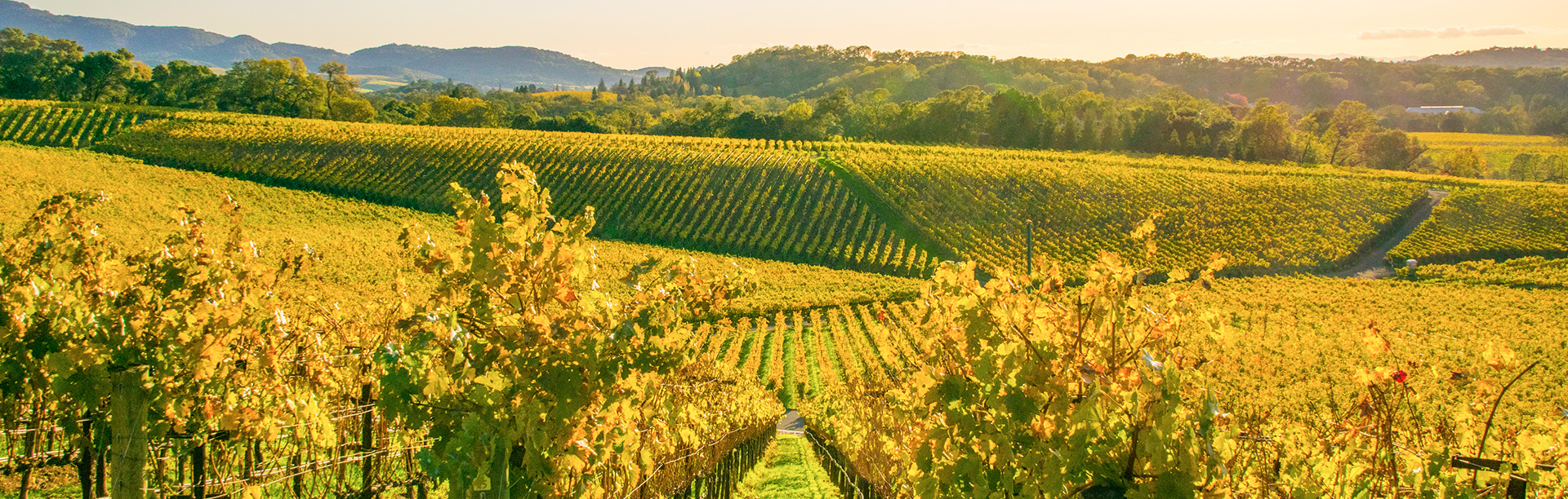 Featured Specials at Holiday Inn Express Hotel & Suites Atascadero